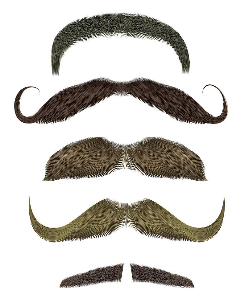 conjunto vector Bigote diferente colores.