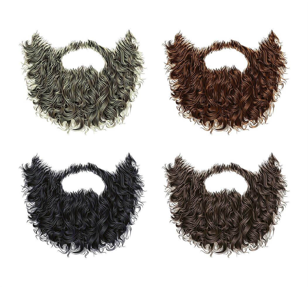 set long curly  beard and mustache different colors. vector