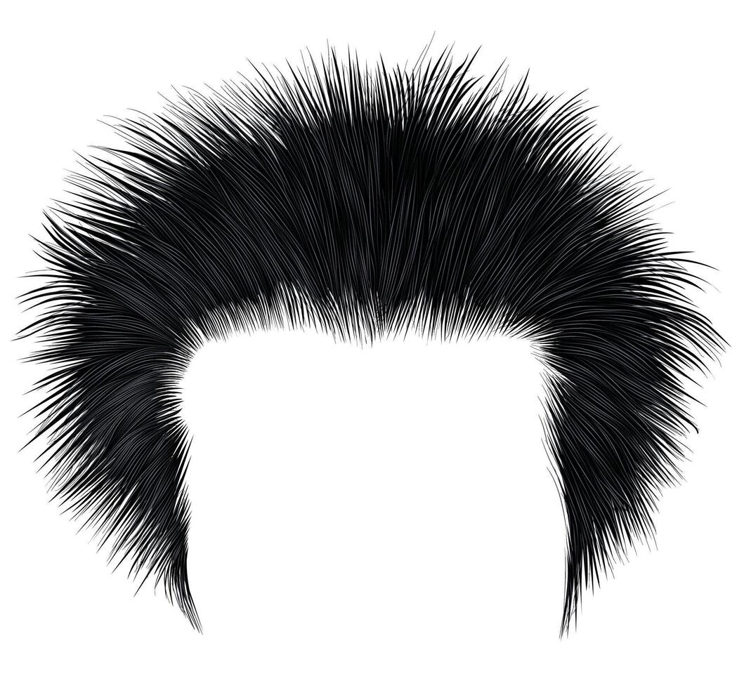 trendy shaggy man hairs black colour.beauty style.high hair styling . vector