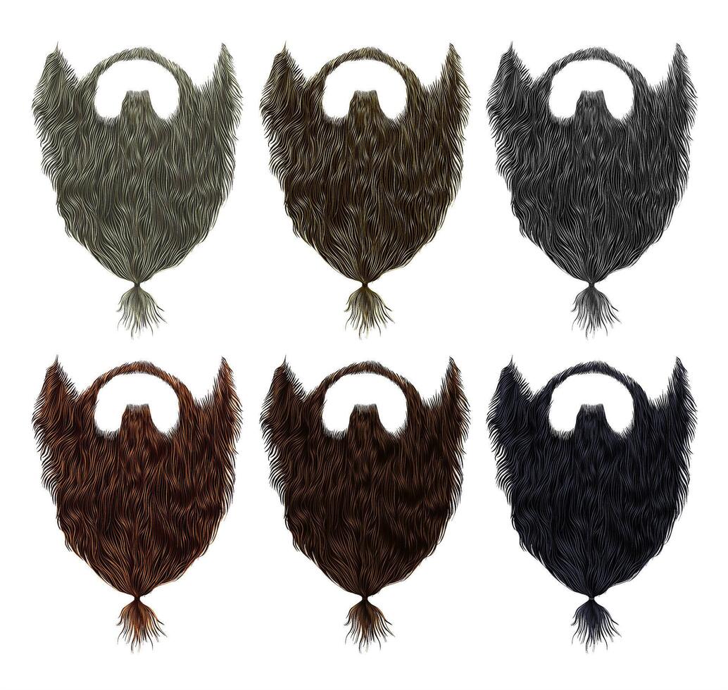 set long curly  mustache beard with tail. different colors. vector