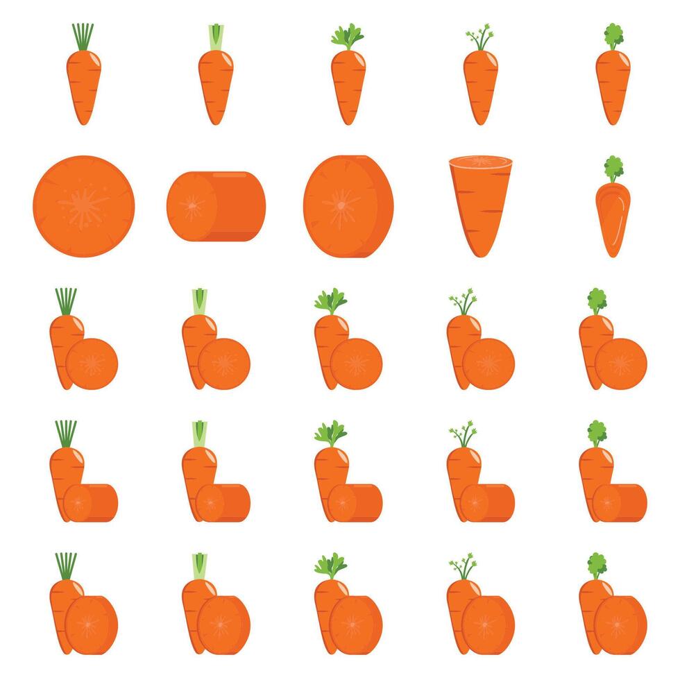 Illustration of carrot pack vector