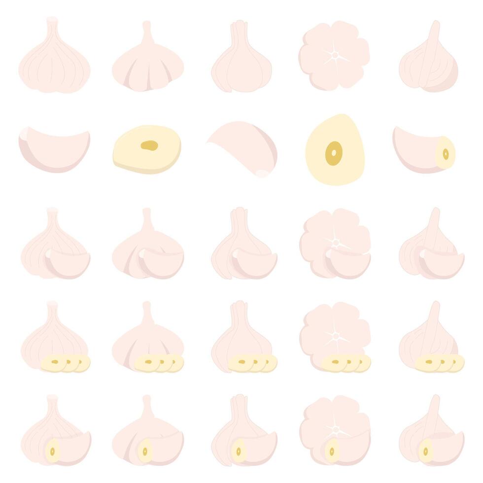 Illustration of garlic pack vector