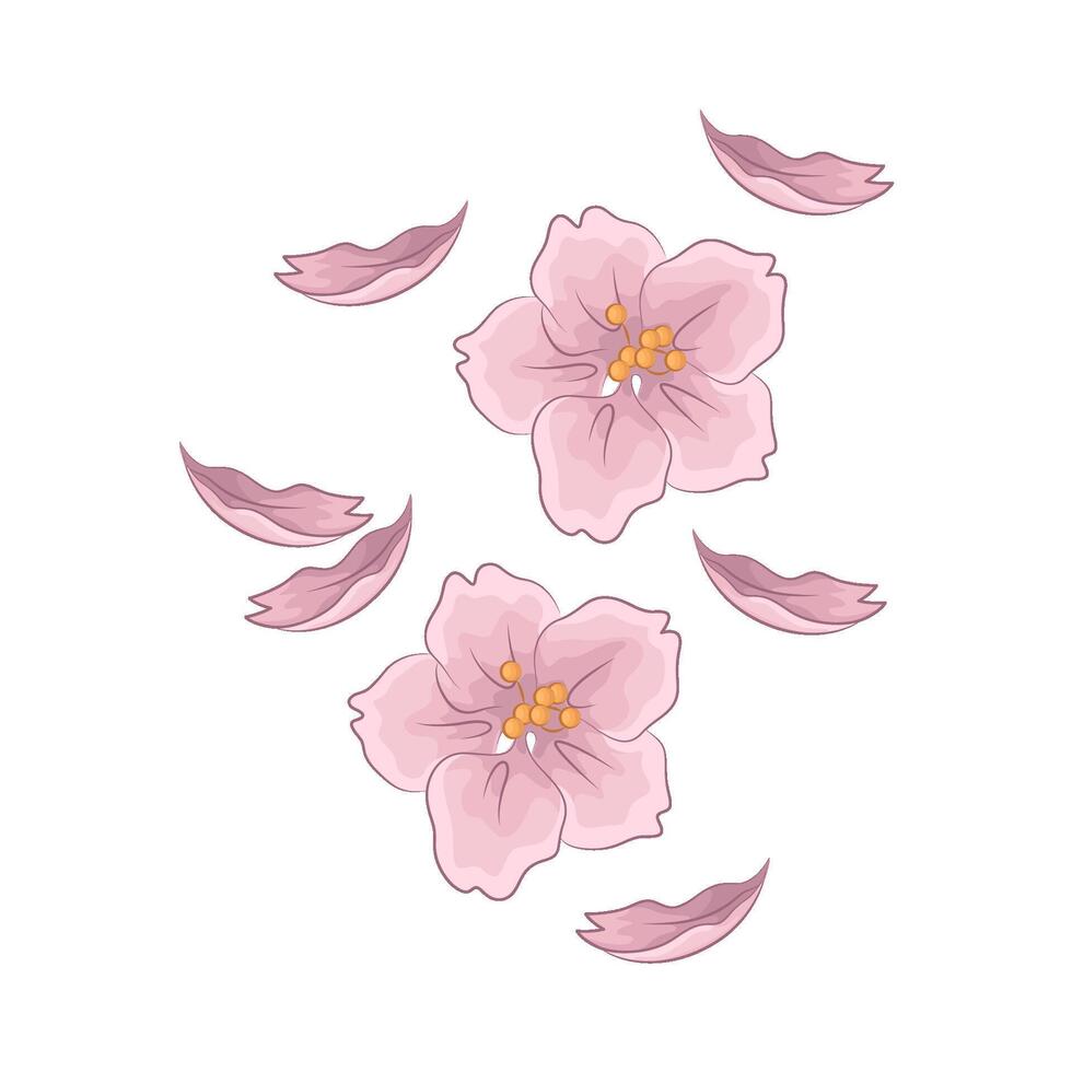 Illustration of cherry blossom vector