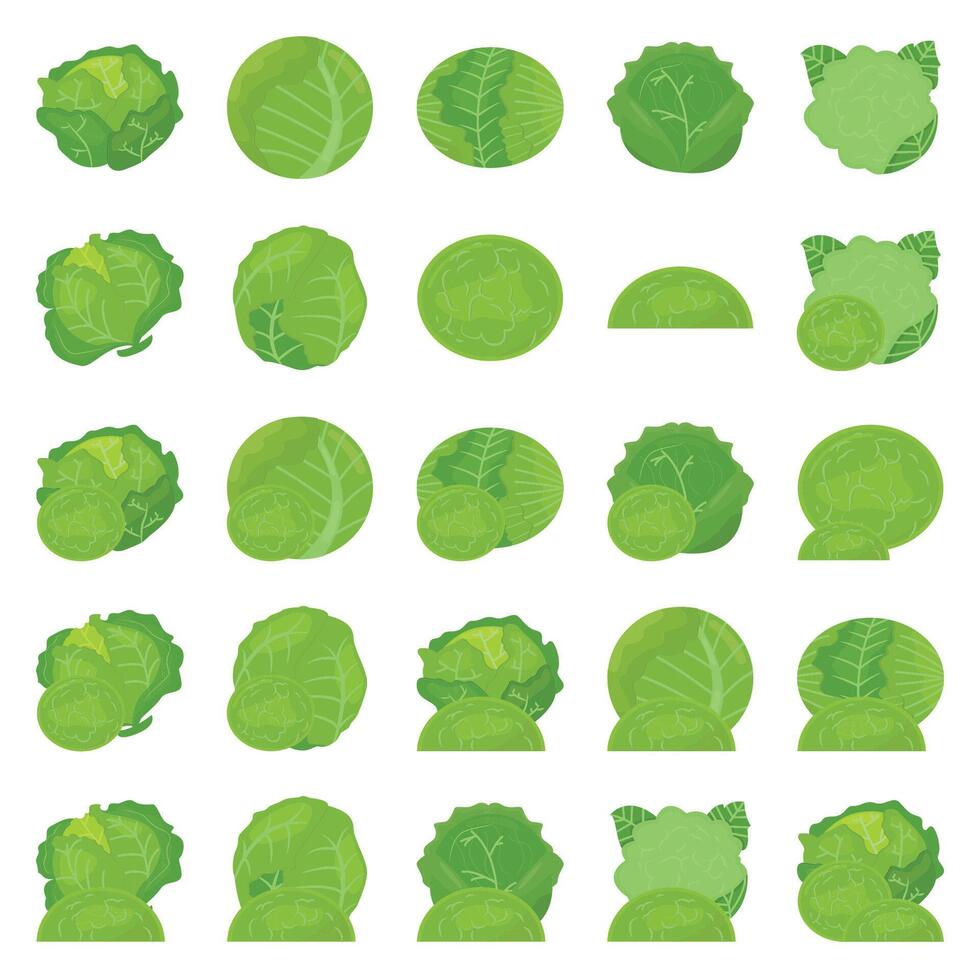 Illustration of cabbage pack vector