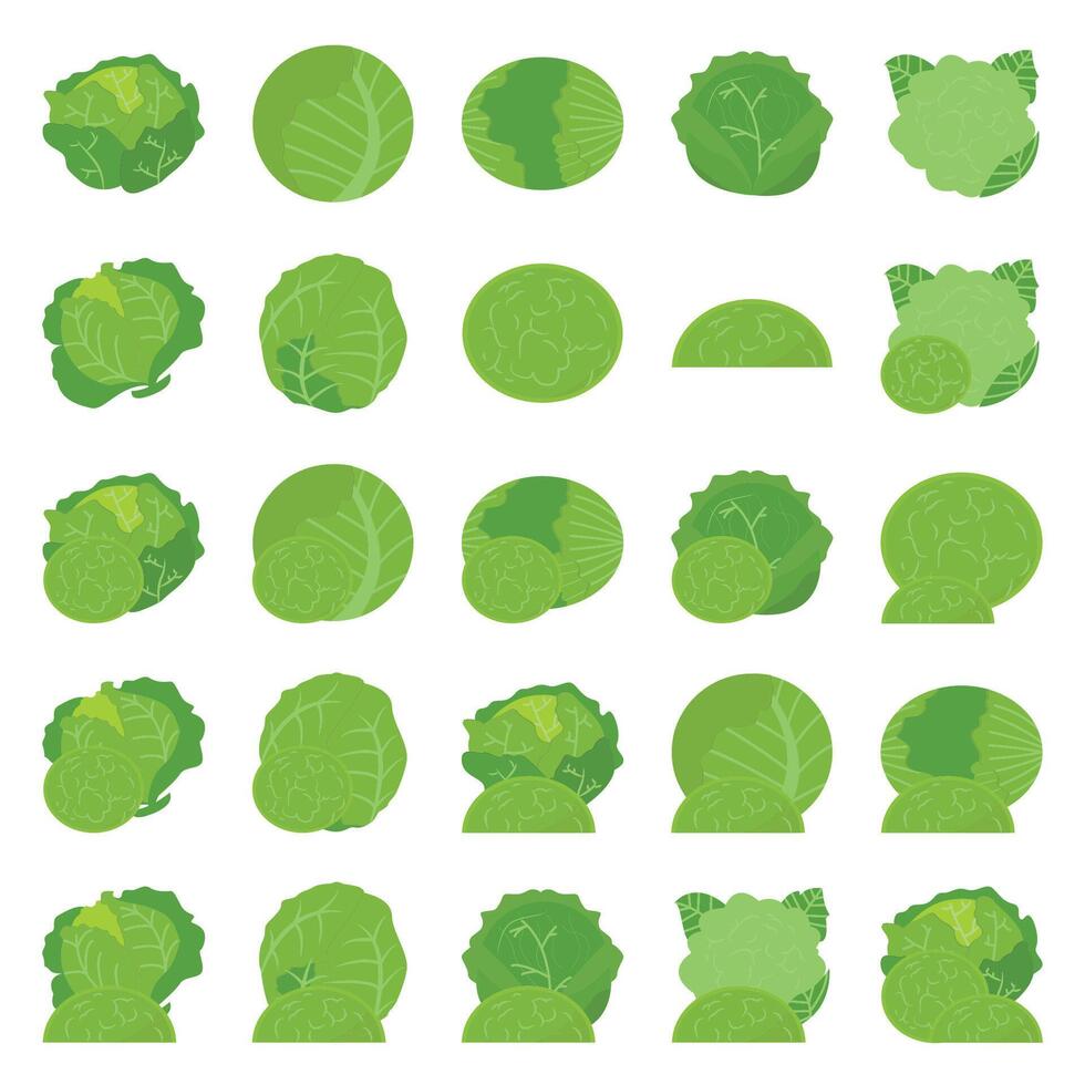 Illustration of cabbage pack vector