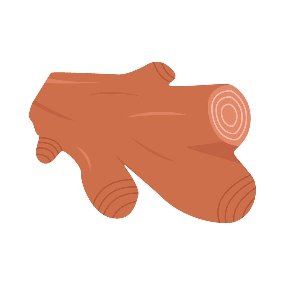 Illustration of ginger vector