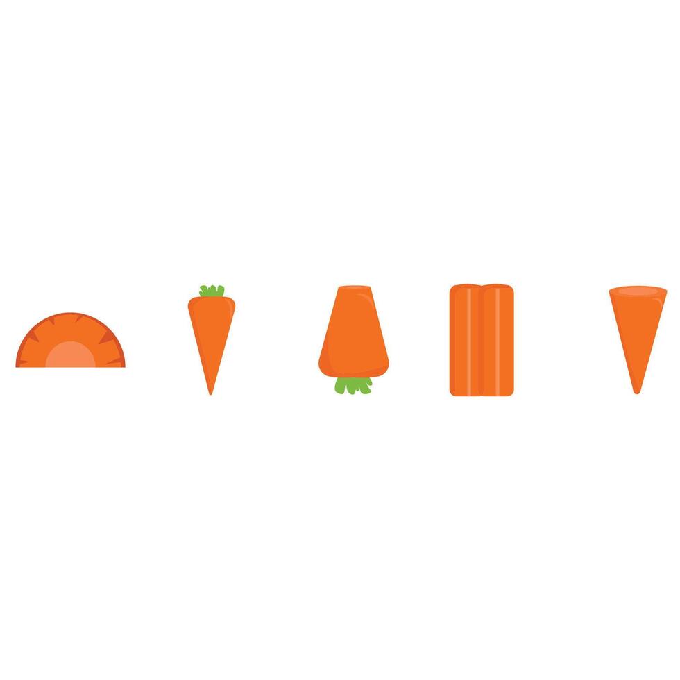 Illustration of carrot pack vector