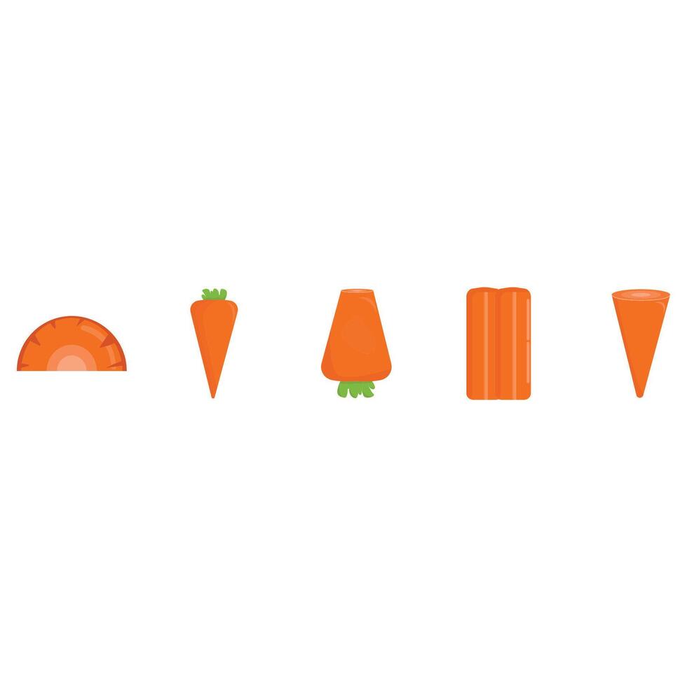 Illustration of carrot pack vector