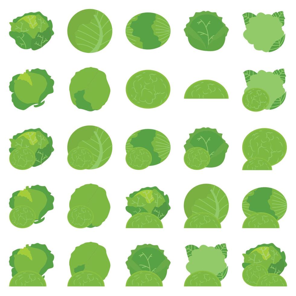 Illustration of cabbage pack vector