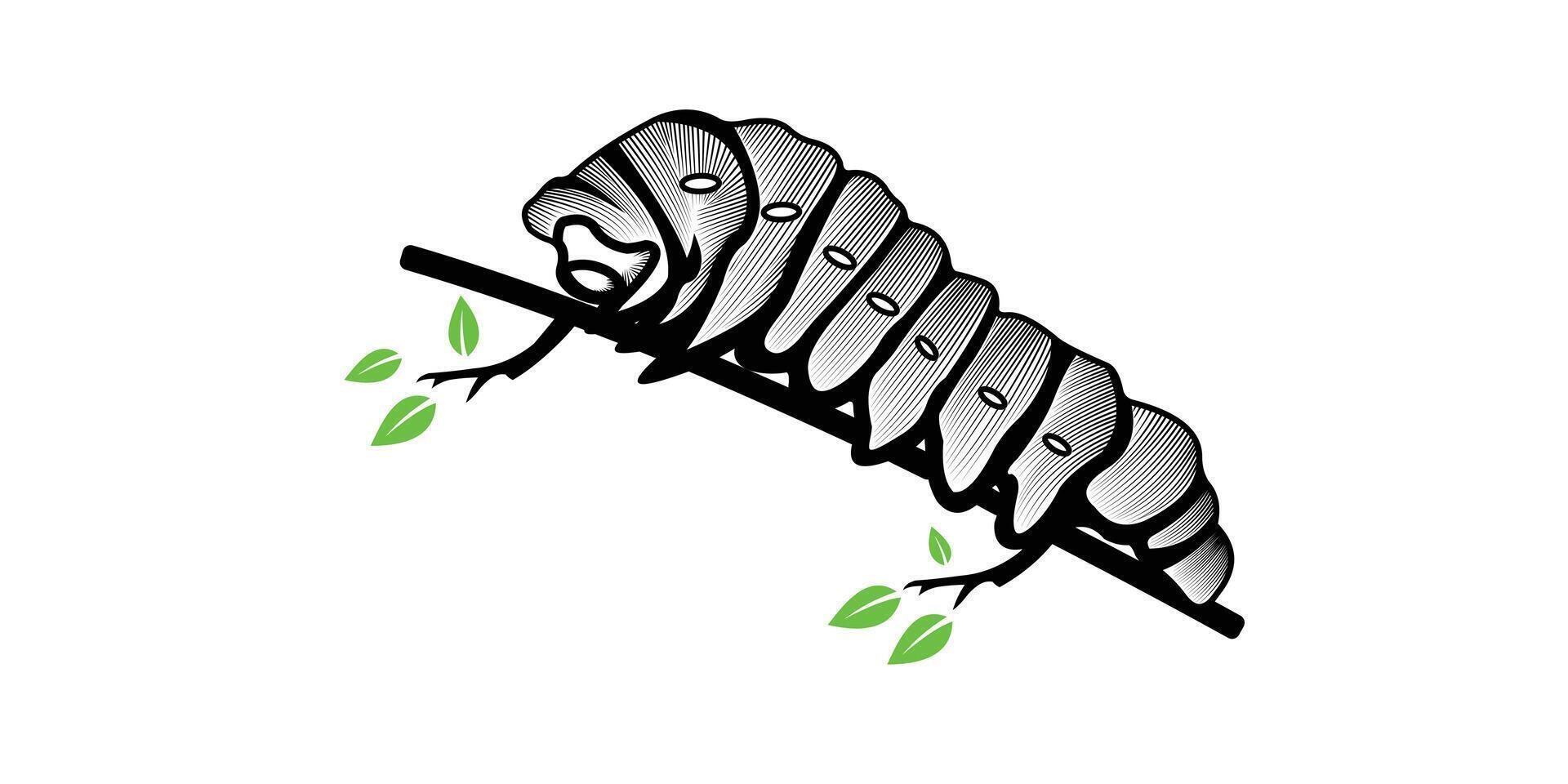 CATERPILLAR VECTOR ILLUSTRATION DESIGN