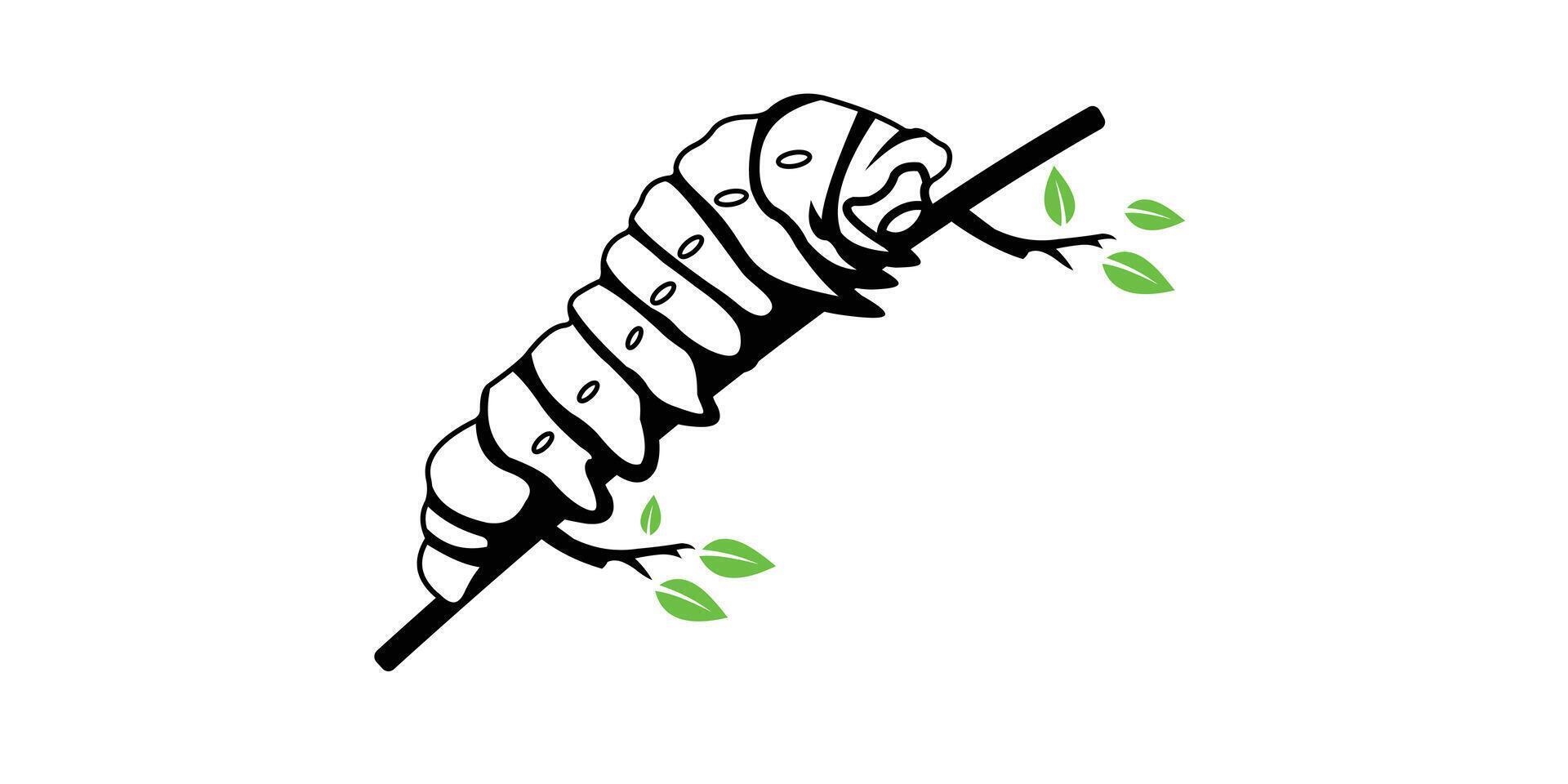 CATERPILLAR VECTOR TEMPLATE ILLUSTRATION DESIGN