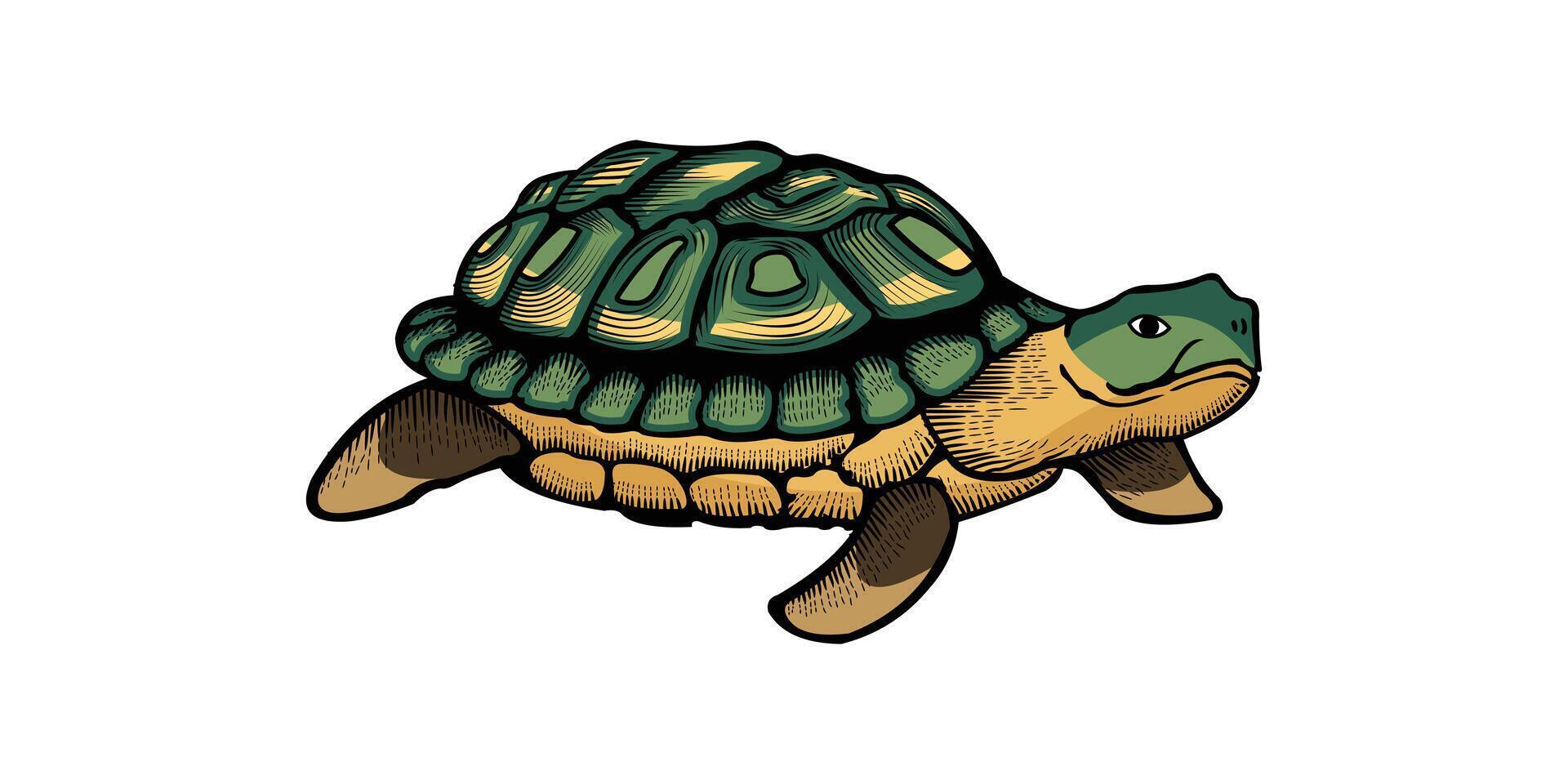 SEA TURTLE VECTOR ILLUSTRATION DESIGN