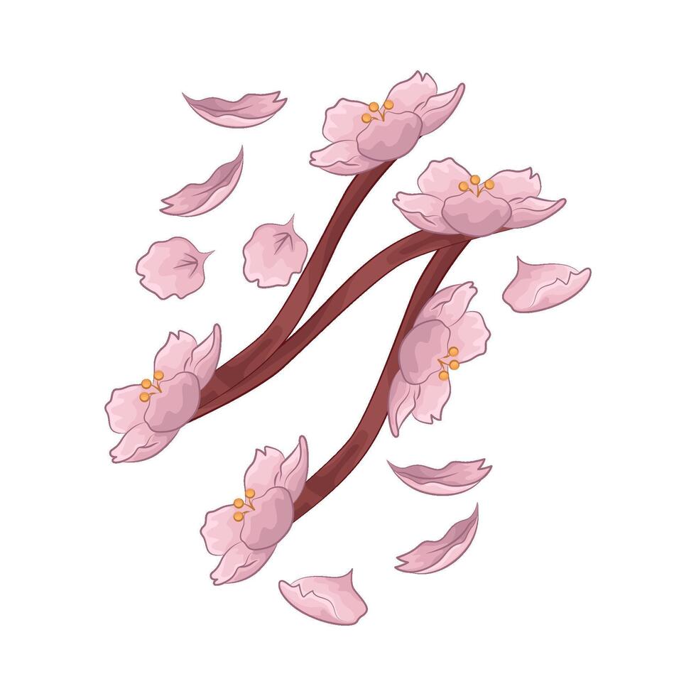 Illustration of cherry blossom vector