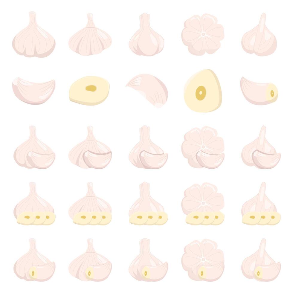 Illustration of garlic pack vector