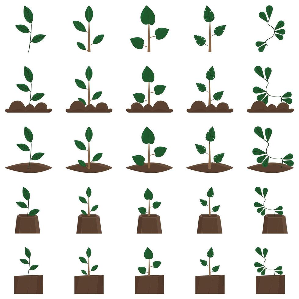 ilustración de planta paquete vector