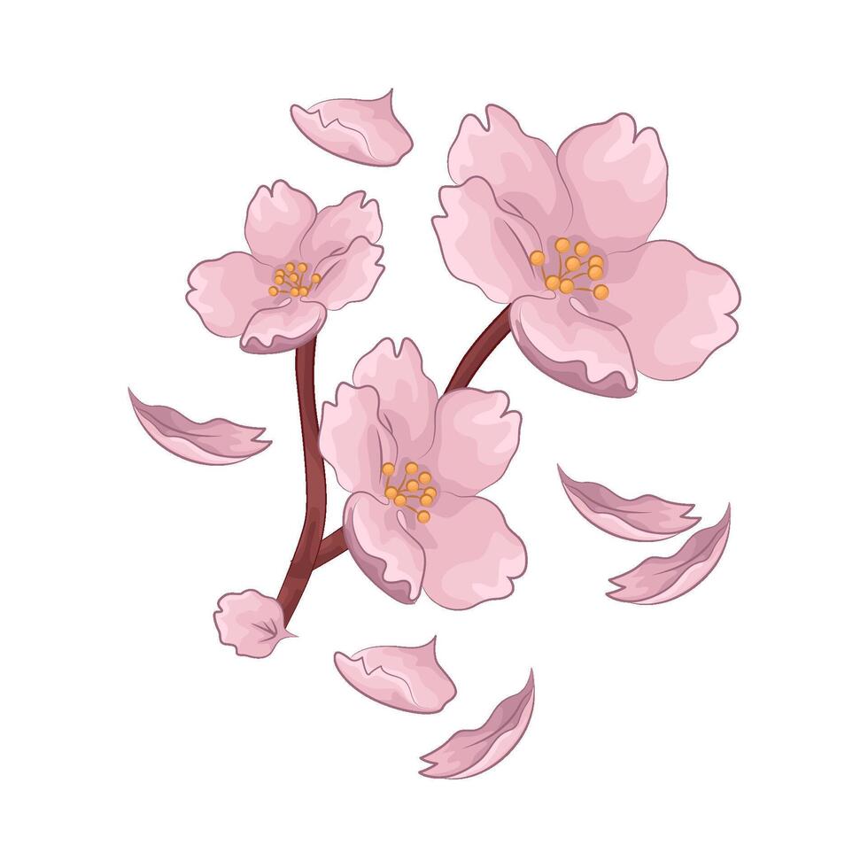 Illustration of cherry blossom vector