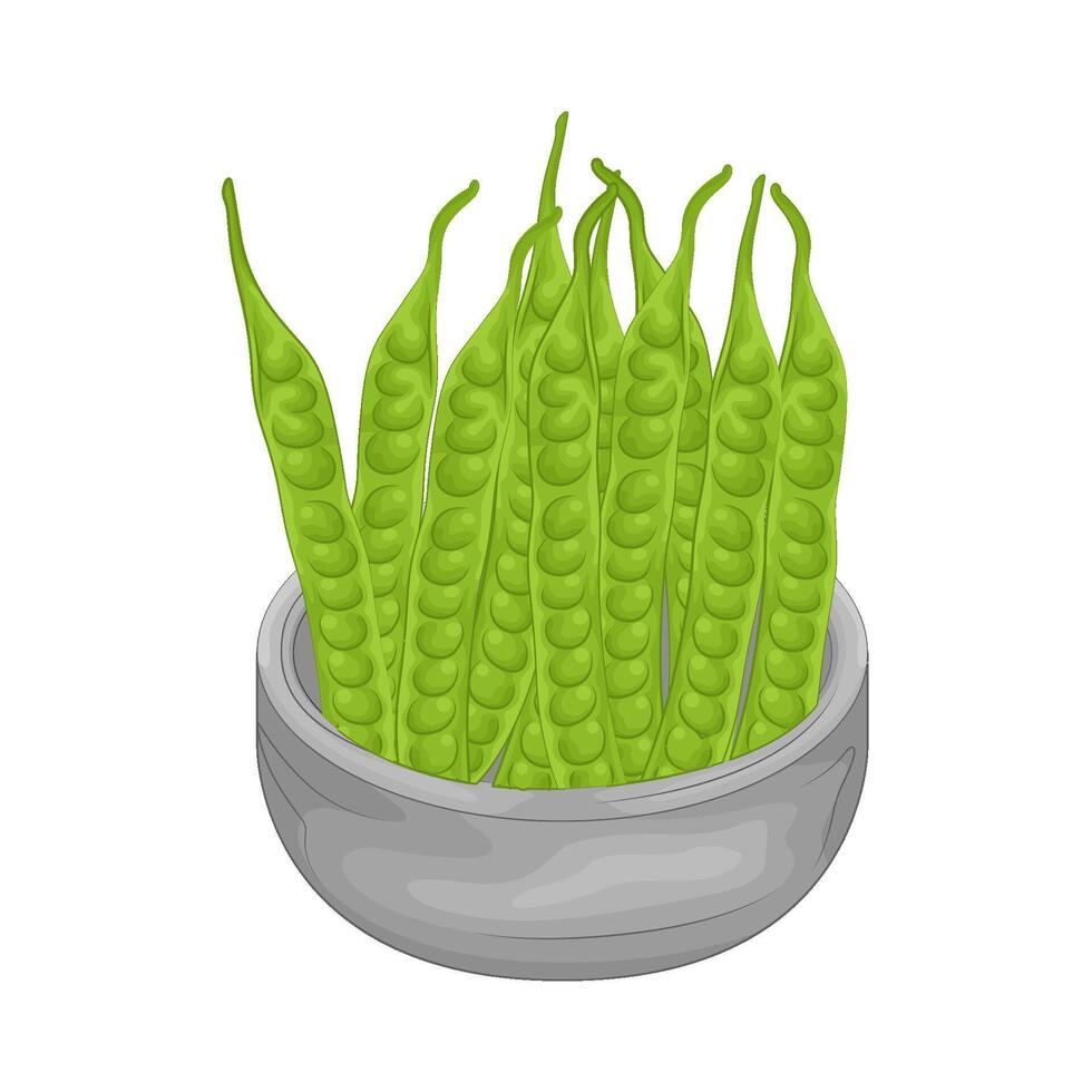 Illustration of vegetable petai vector