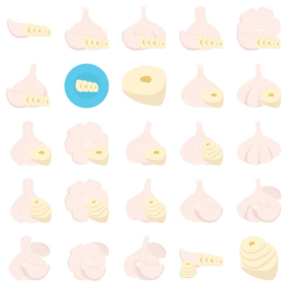 Illustration of garlic pack vector
