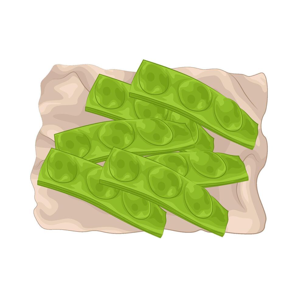Illustration of vegetable petai vector