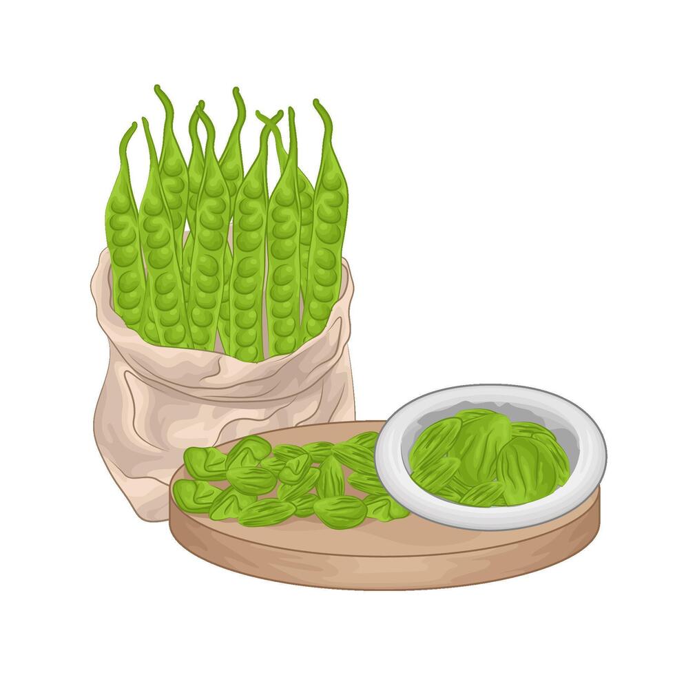 ilustración de vegetal petai vector