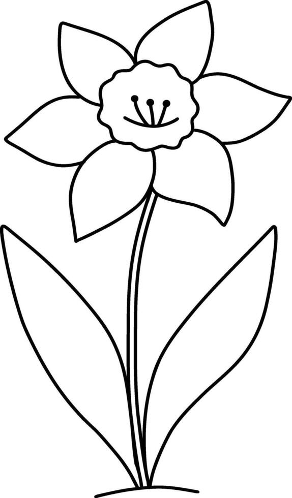el narciso flor es aislado en un blanco antecedentes. vector negro y blanco lineal Arte ilustración.