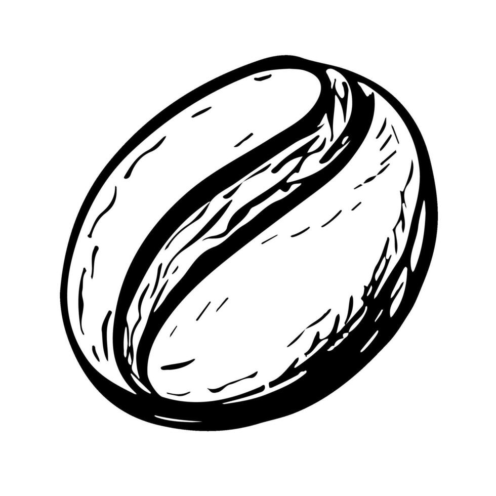 Coffee bean, black and white vector illustration. For packaging, logos and labels. For banners, flyers, menus and posters.