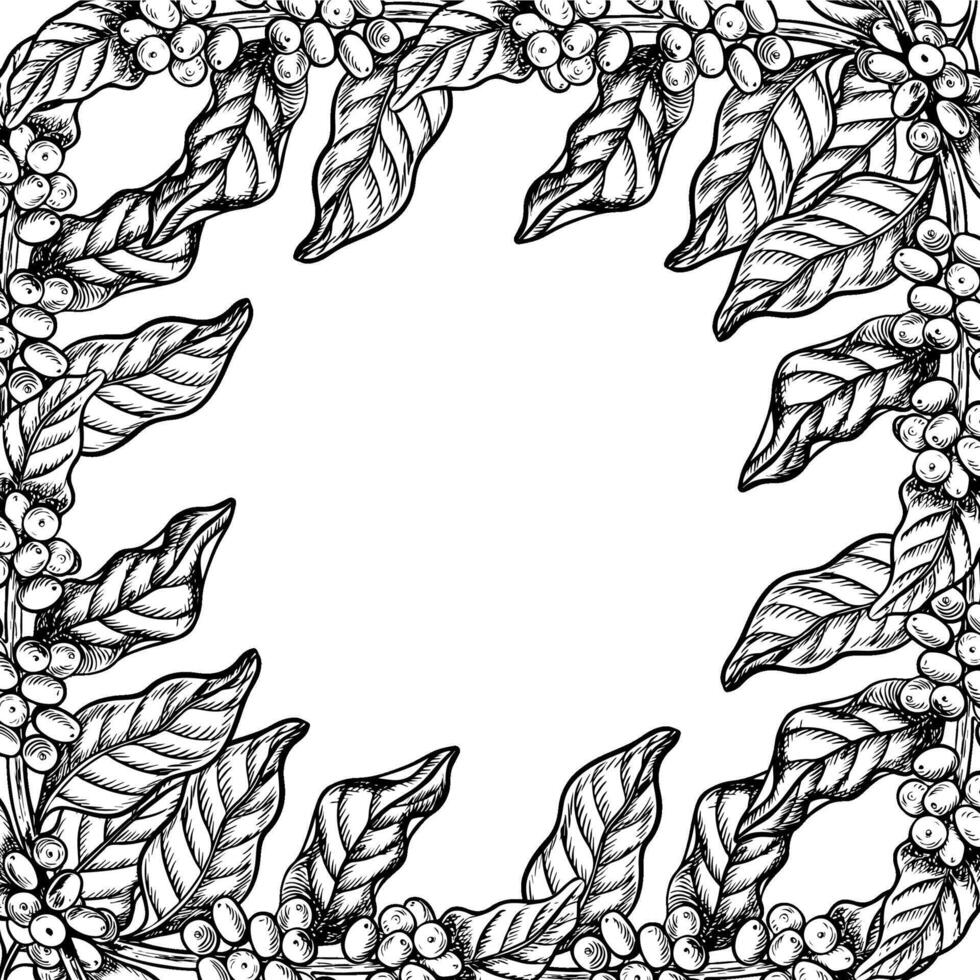 A frame made of coffee tree branches, black and white vector graphics, hand-drawn. Illustration on a white background. For banners, flyers and menus. For packaging, labels and postcards.
