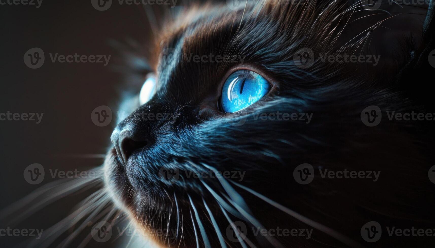 AI generated Intense blue eyes of a black cat in close-up photo