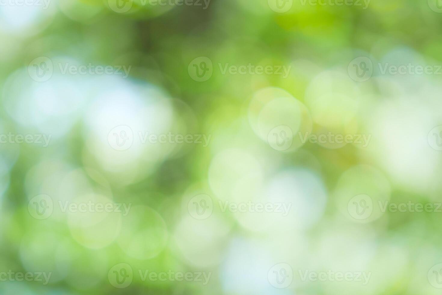 Nature's Embrace, Abstract Green Bokeh Background of Tree in Natural Surroundings photo