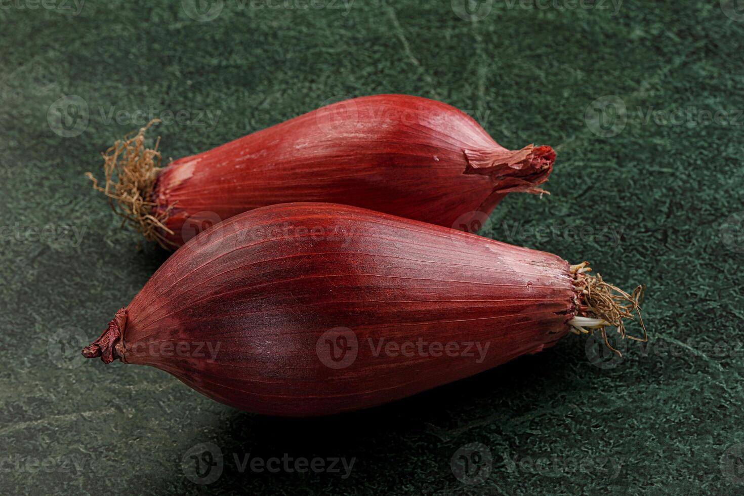 Violet raw onion for cooking photo