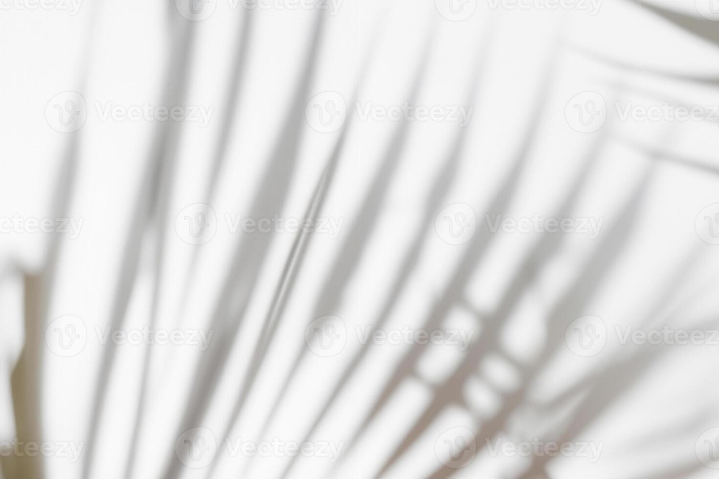 Tropical Elegance, Abstract White Background with Palm or Monstera Leaf Shadow, Gray Overlay, and Copy Space for Mockup photo