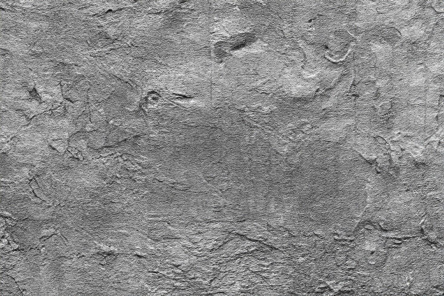 Abstract Monochromatic Plaster, Perfect Texture for Seamless Blending and Overlays. photo