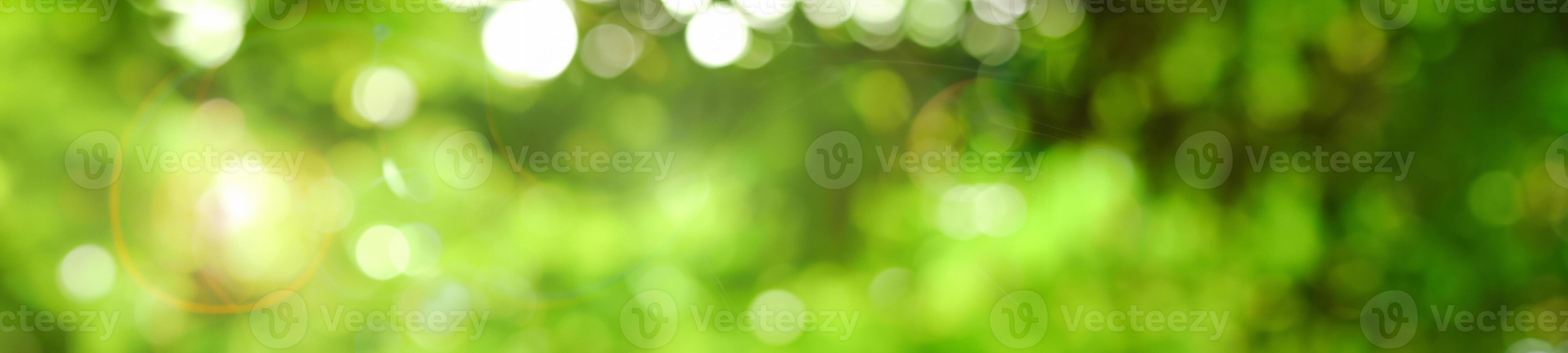Tranquil Greenery, Vibrant Leaf Amidst a Soft Haze. photo