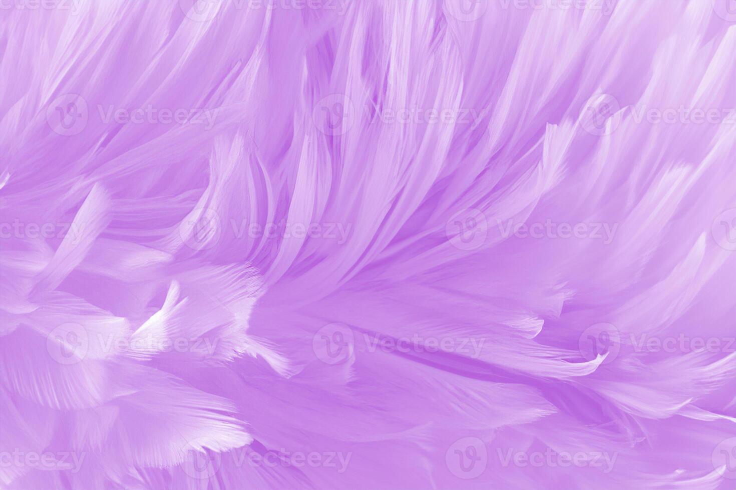 Purple Plumage, Stunning Background Texture Featuring Light Lavender Bird Feathers. photo