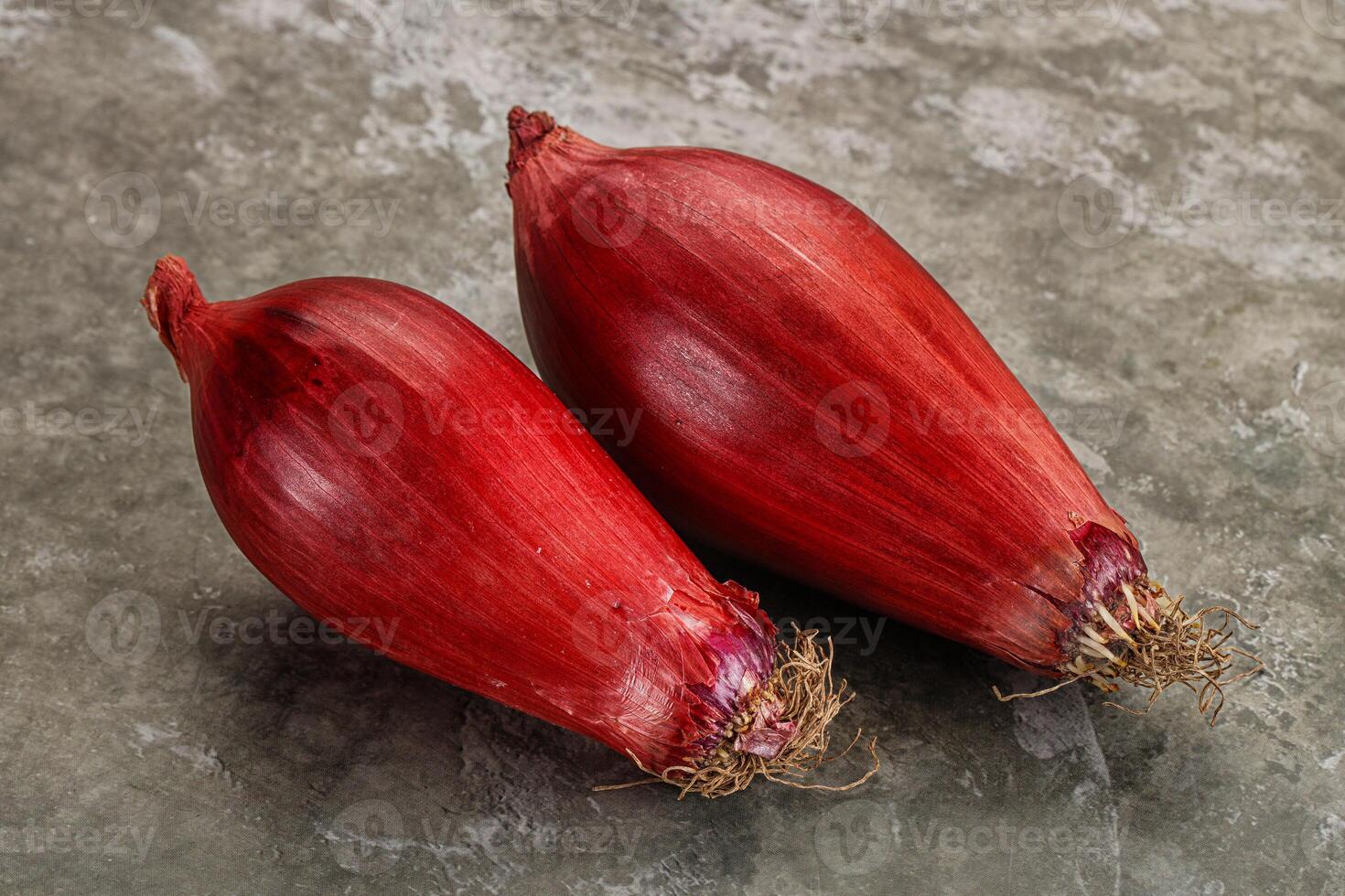 Violet raw onion for cooking photo