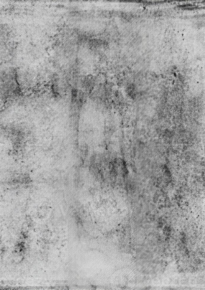 Abstract Texture in Halftones, A Visual Symphony. photo