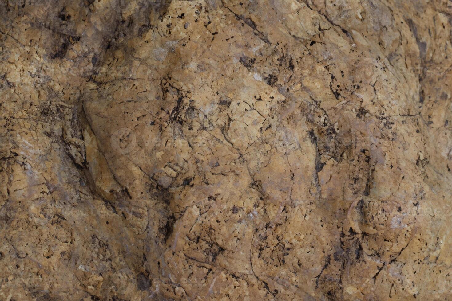 Abstract Stone and Rock Texture Background on Wall. photo