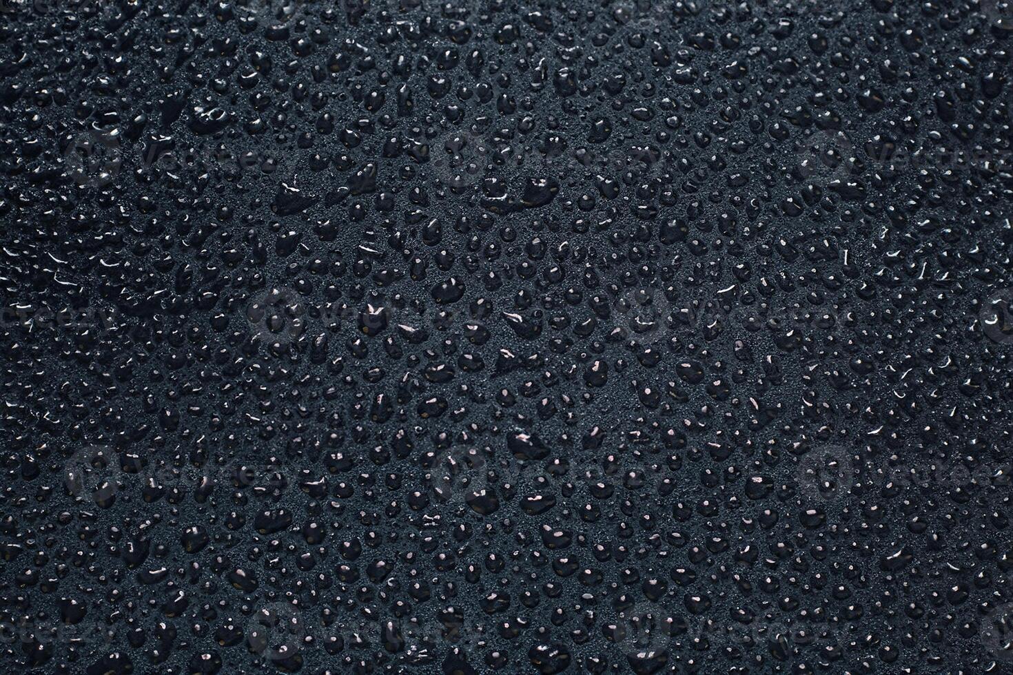 Glistening Water Droplets Against Moody Background. photo