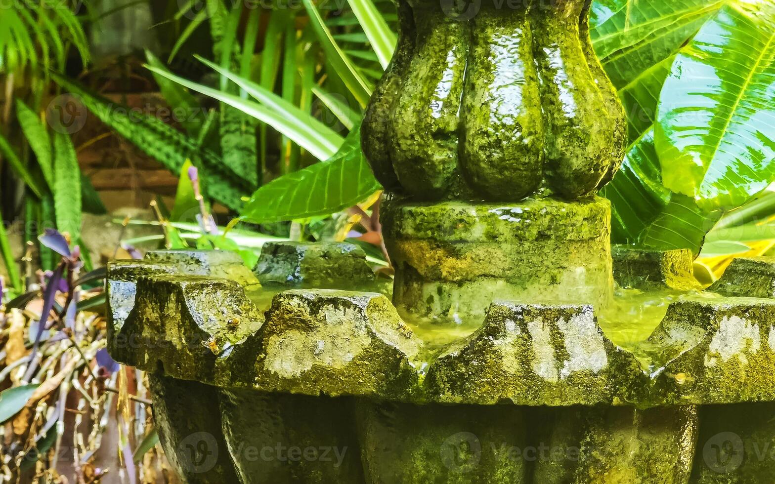 Nostalgic green fountain in the garden Puerto Escondido Mexico. photo