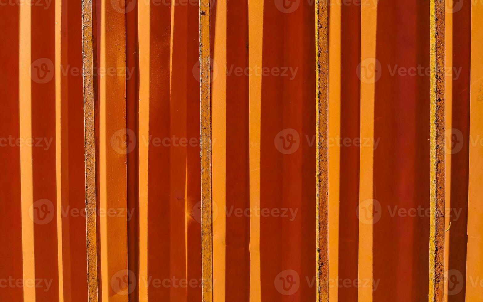 Metal gate door fence texture pattern in Mexico. photo