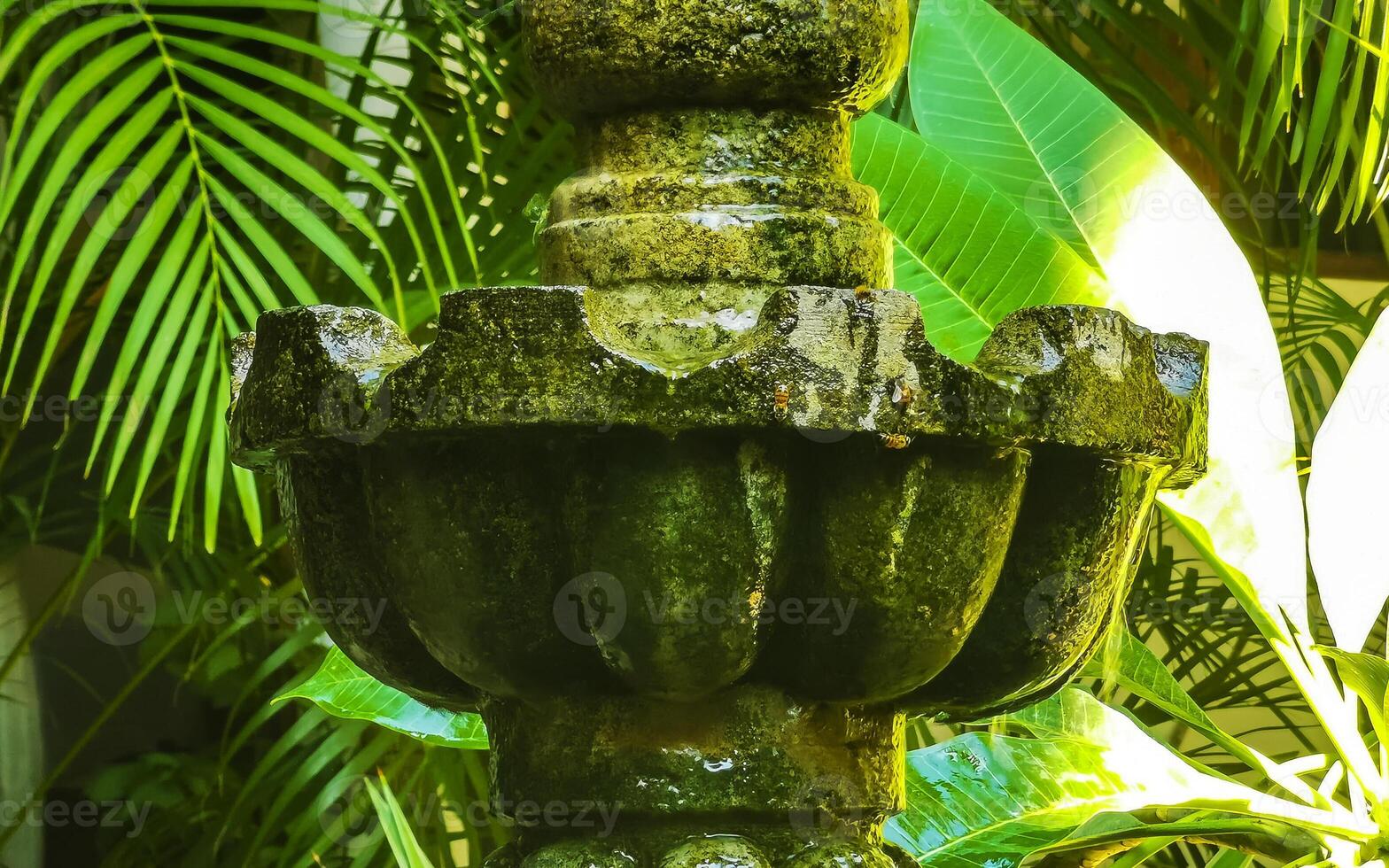 Nostalgic green fountain in the garden Puerto Escondido Mexico. photo