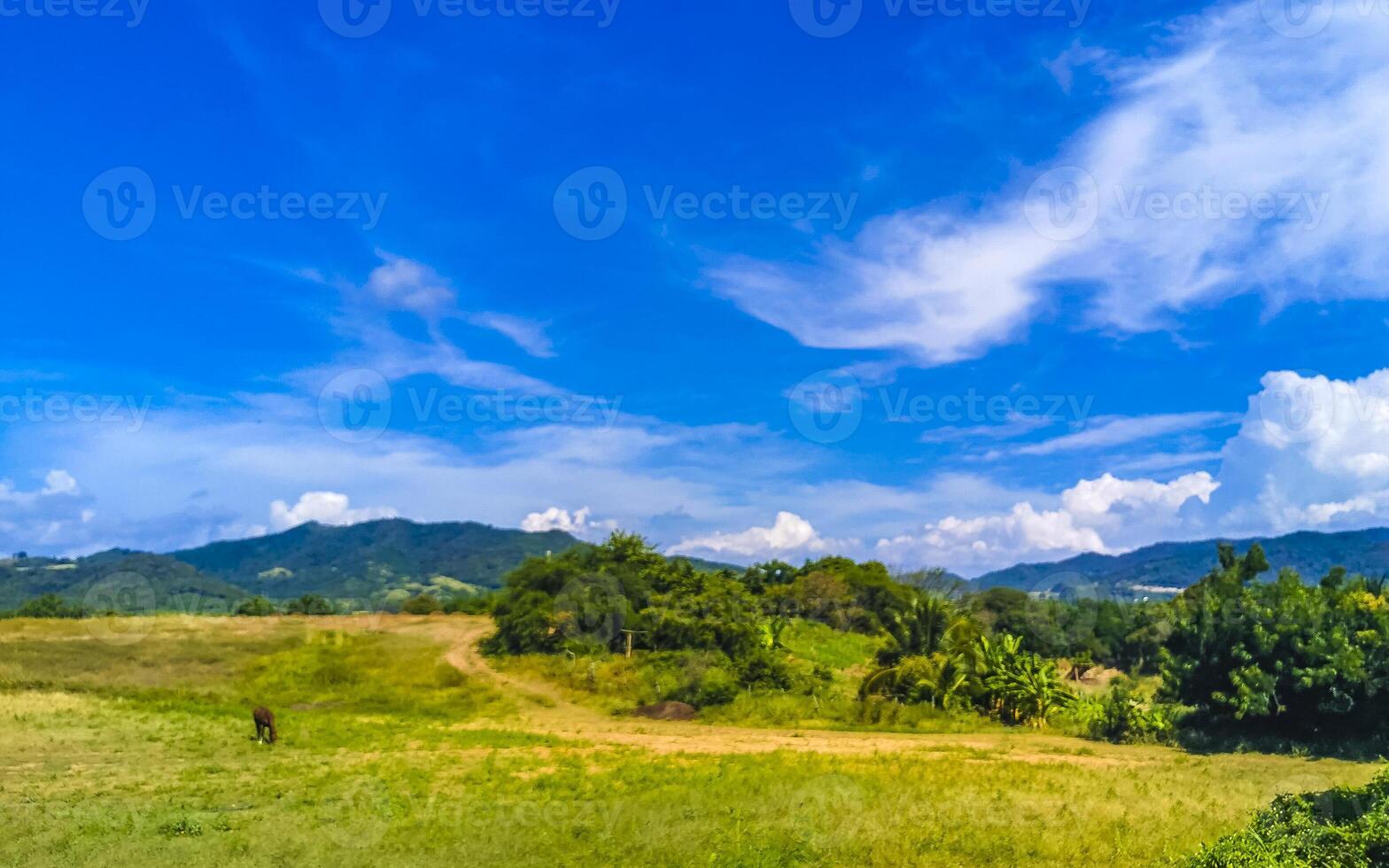 Drive past the tropical jungle mountains and countryside Mazunte Mexico. photo
