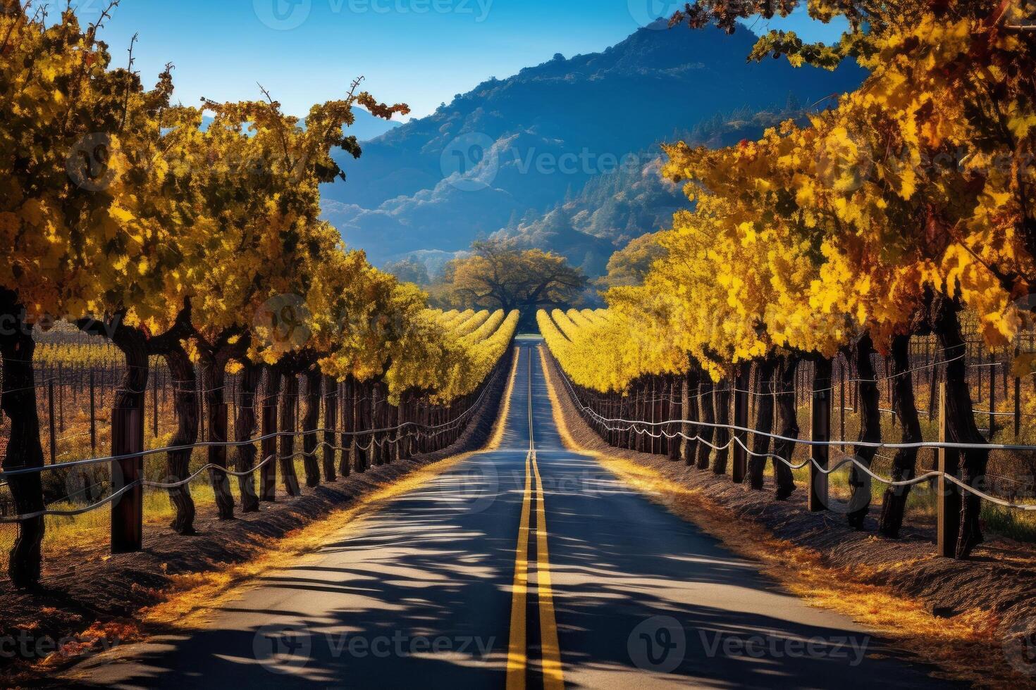 AI generated A road through a picturesque vineyard. Generative AI photo