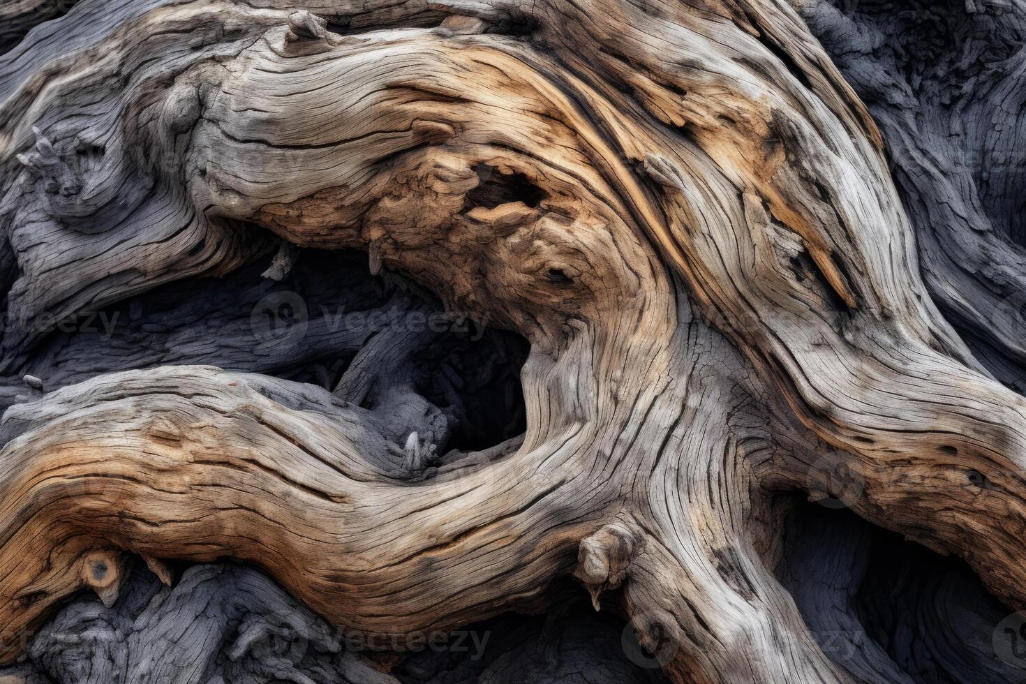 AI generated A close-up of a weathered and gnarled tree trunk, symbolizing resilience in old age. Generative AI photo