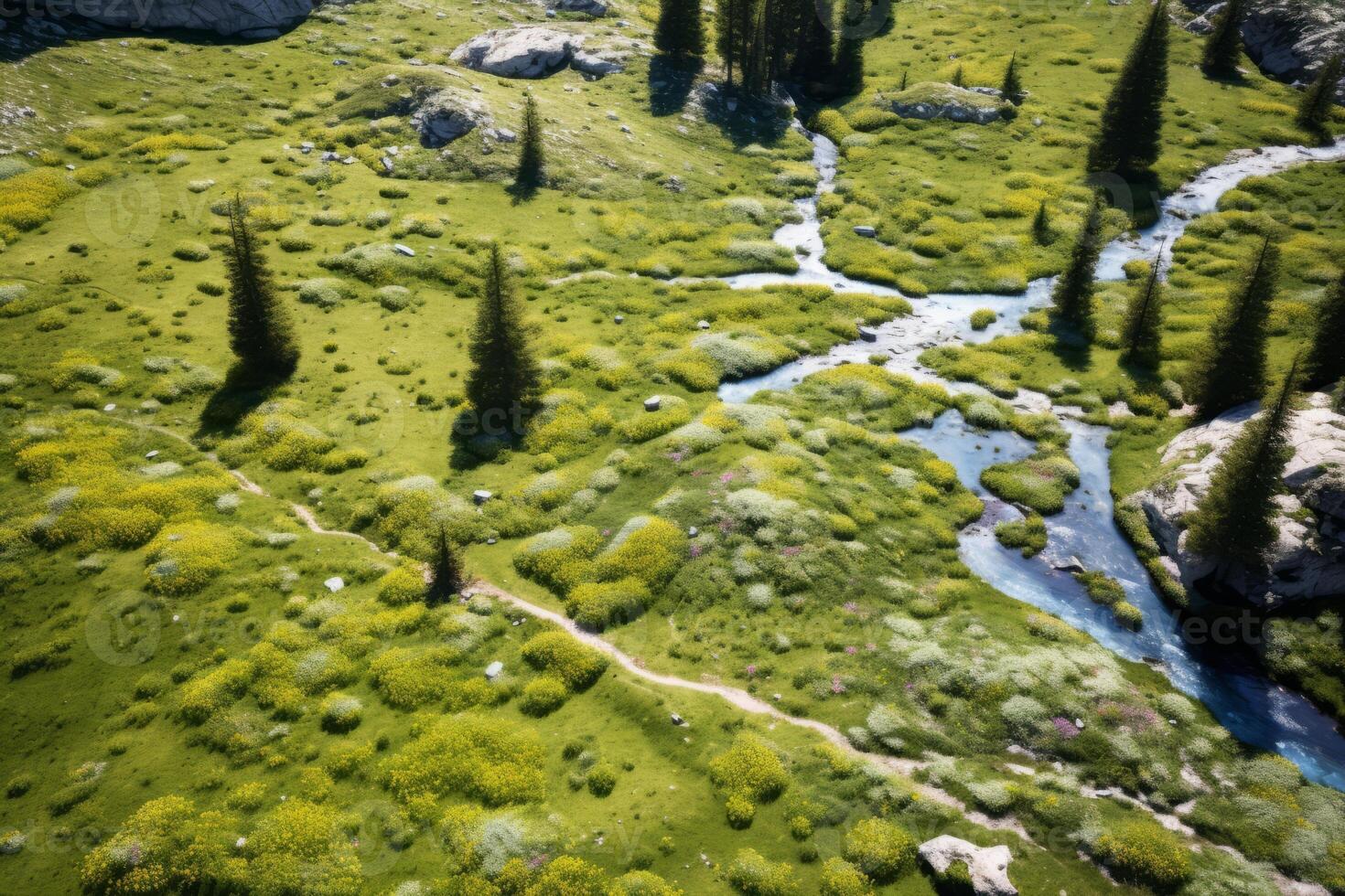 AI generated Aerial shot of a pristine alpine meadow with wildflowers in bloom. Generative AI photo