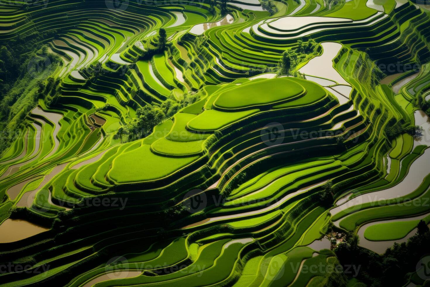 ai generado aéreo Disparo capturar el maravilloso geometría de un aterrazado arrozal campo paisaje. generativo ai foto