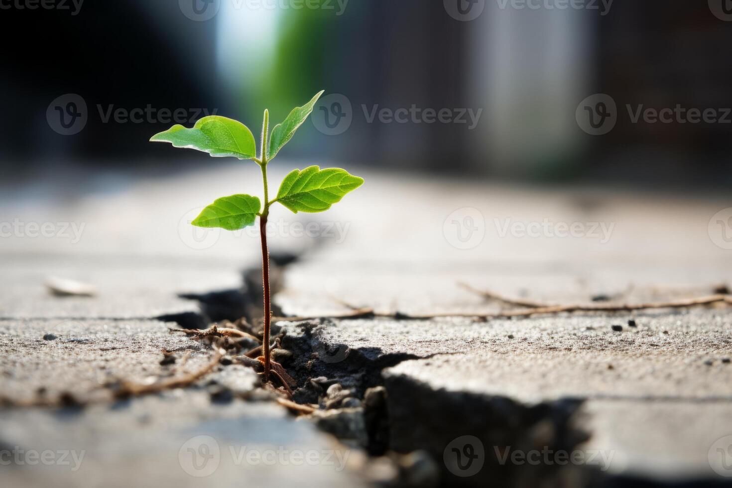 AI generated A close up of a seedling sprouting from a crack in a concrete sidewalk, representing resilience. Generative AI photo