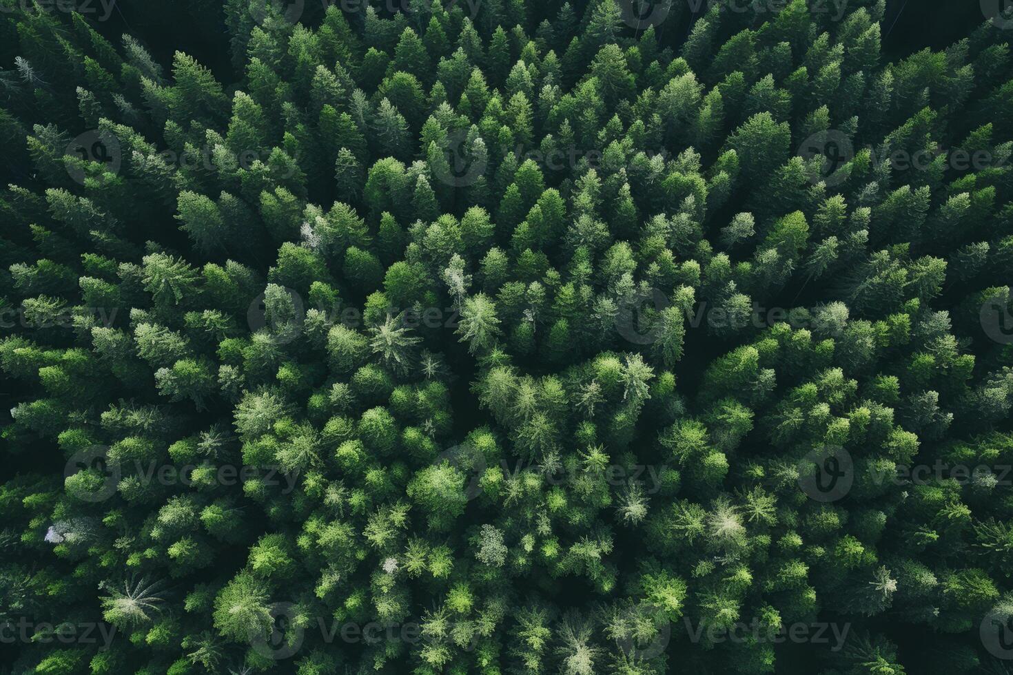 AI generated Aerial view of a serene forest captured by drone technology. Generative AI photo