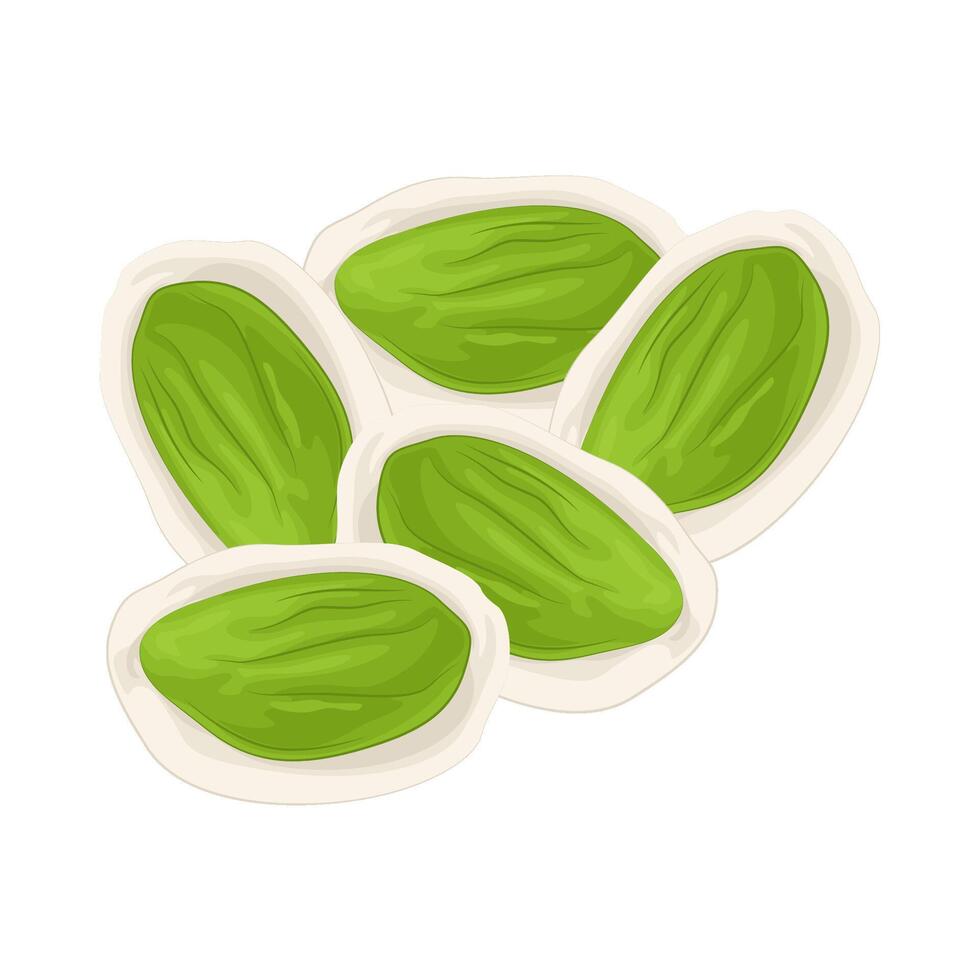 Illustration of vegetable petai vector