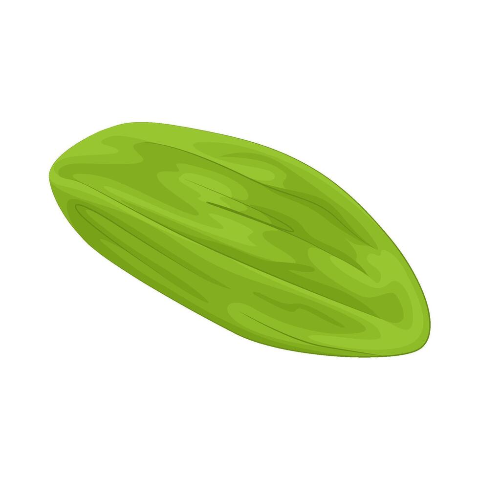 Illustration of vegetable petai vector